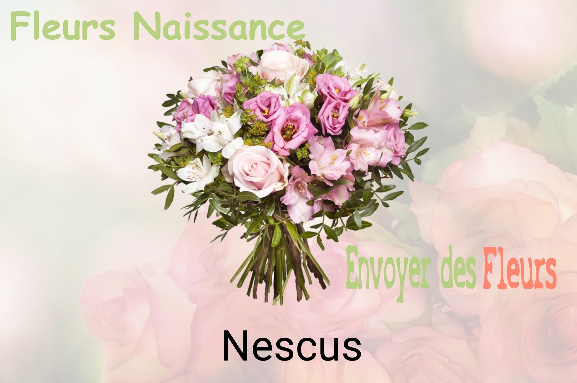 Bouquet de fleurs de naissance livré à Nescus